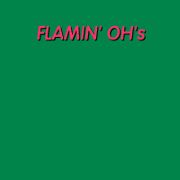 Flamin' Oh's 1st LP